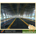 birdsitter ISO9001 qualified chicken house agriculture machinery equipment